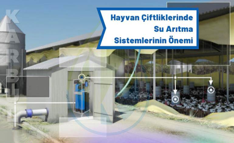 Hayvan Çiftliklerinde Su Arıtma Sistemlerinin Önemi